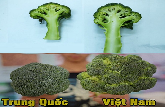 Cách nhận biết rau củ Trung Quốc