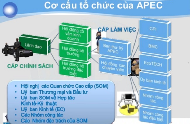Cơ cấu tổ chức APEC