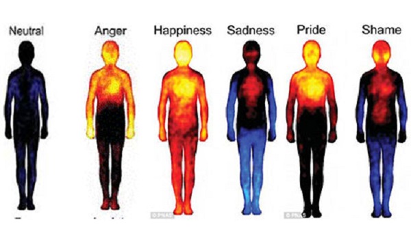 Những ảnh hưởng của cảm xúc đối với cơ thể con người