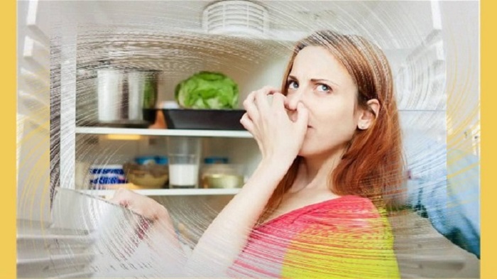 Nguyên nhân tủ lạnh có mùi hôi và cách khắc phục
