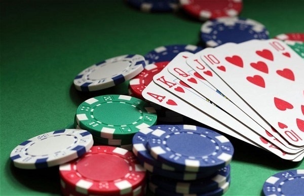 Tội tổ chức đánh bạc là gì?
