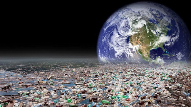 Hậu quả của rác thải nhựa