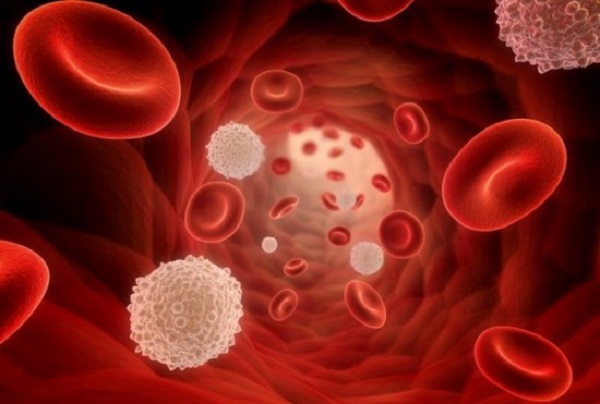 Những tác hại và hậu quả đáng sợ của bệnh ung thư máu